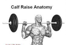 How to Standing Calf Raises with Barbell | Exercise & Guide calves raises