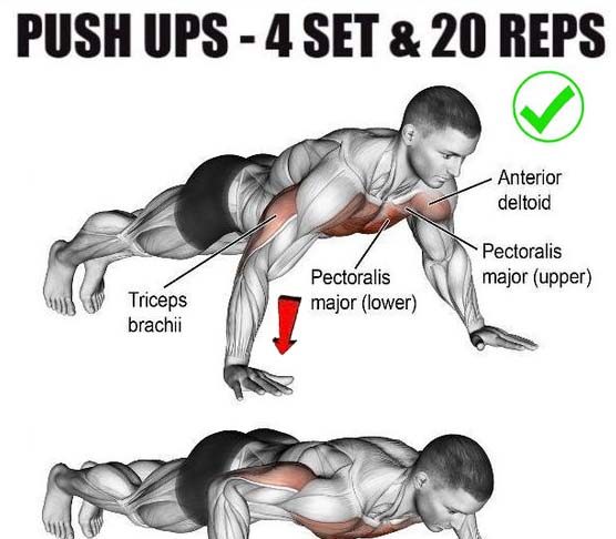 Classic Push ups Workout