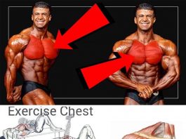 chest muscle training: become like Arnold Schwarzenegger