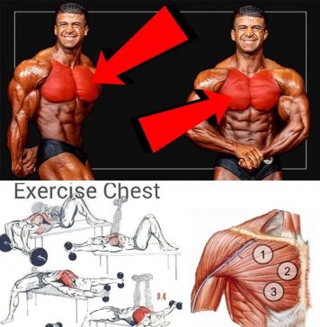 3 Best Chest Muscle Training: Favorite Training Arnold Schwarzenegger chest muscle training: become like Arnold Schwarzenegger