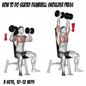 How To Perfect The Overhead Shoulder Press, Tips, Benefits