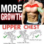 upper chest exercises