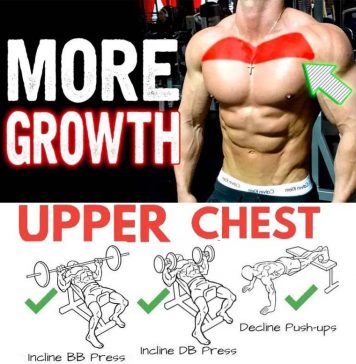 Training Upper Chest