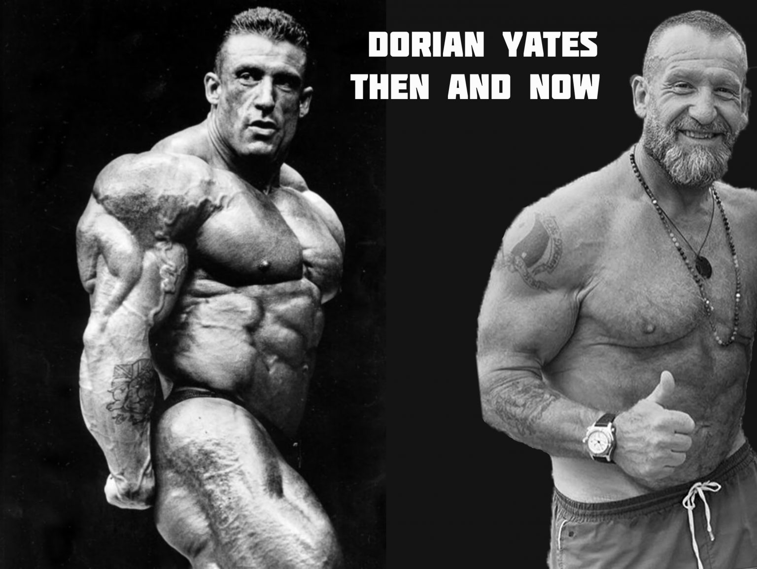 Dorian Yates - Nutrition, Routine, Training Program