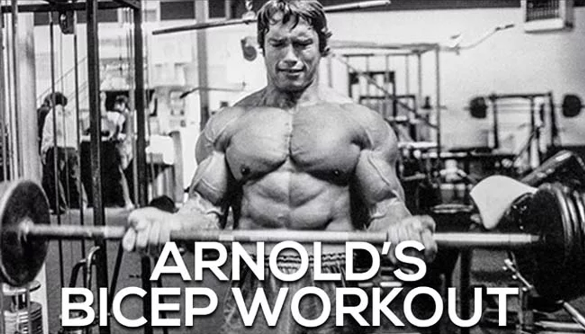 Arnold Schwarzenegger Biceps Exercises