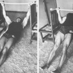 arnold schwarzenegger horizontal pull ups