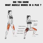What muscle work in a Plie