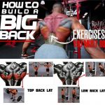 Build Big Back