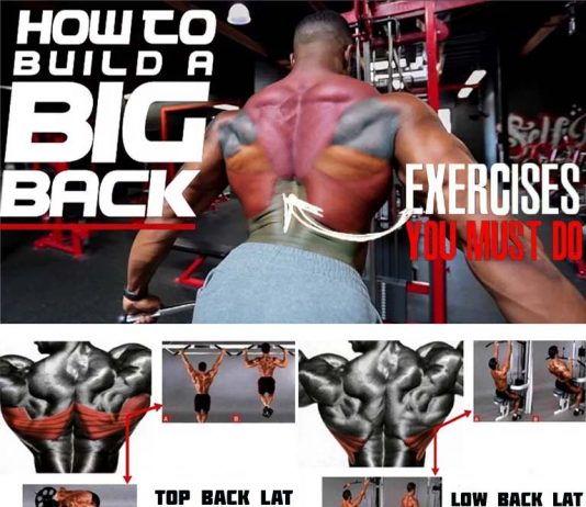 How to Build Big Back, Technique perform