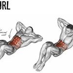 abs curl