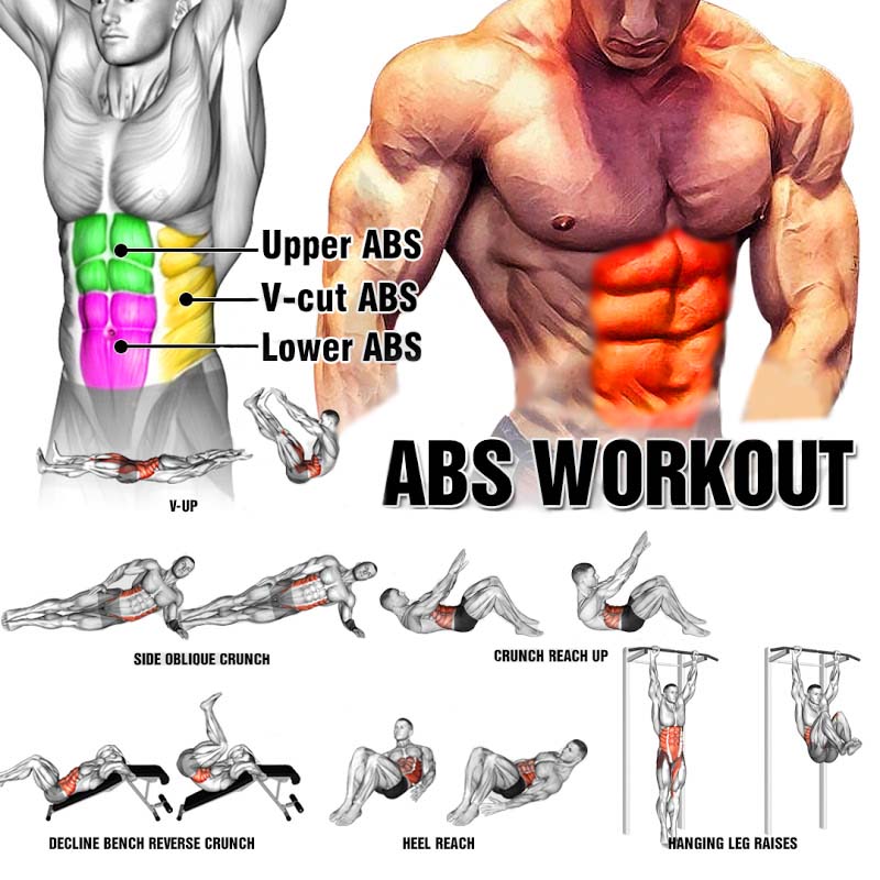 ABS Workout Tutorial