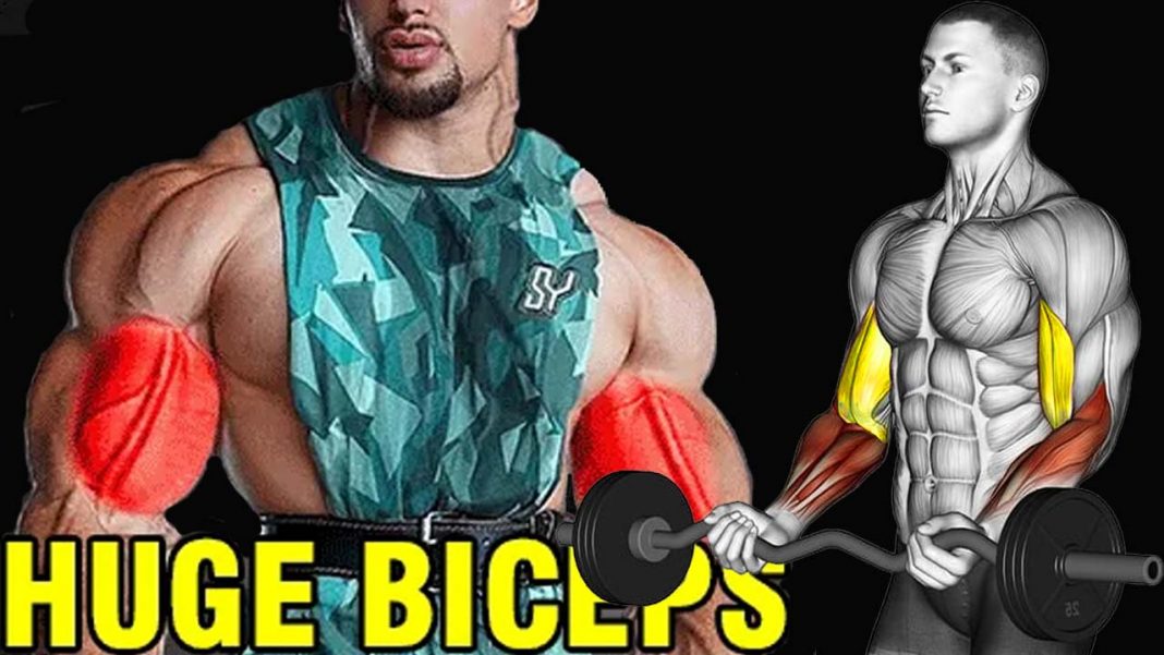 30 Minute Bicep Workout Without Weights Reddit for Gym