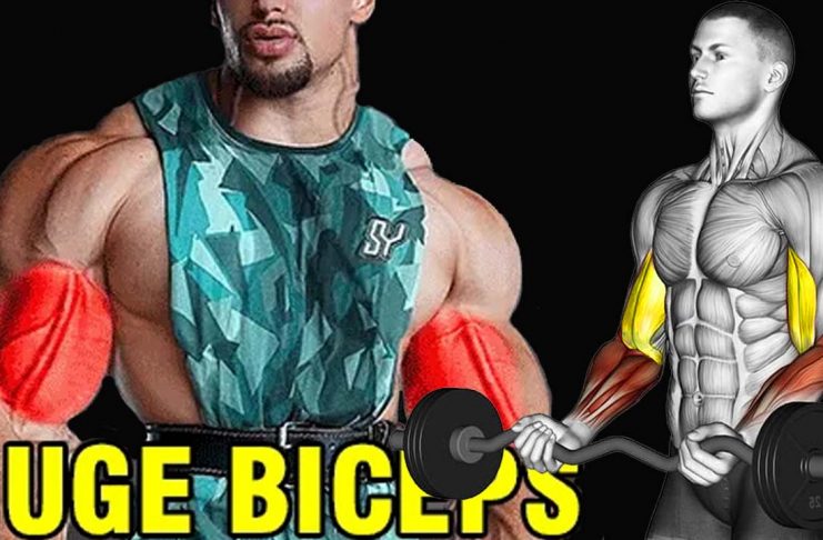 Biceps Exercises
