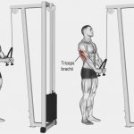 Crossover Triceps Extension