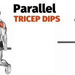 Parallel Bar Dips
