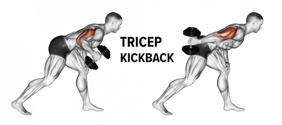 How to Outer Triceps Training, Step-by-Step | Tutorial Guide