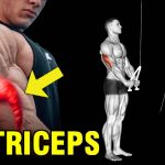 triceps training