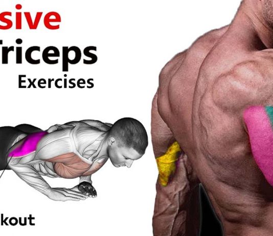 How to Massive Triceps Exercises