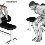 Seated Bent-Over Two-Arm Dumbbell Kickback