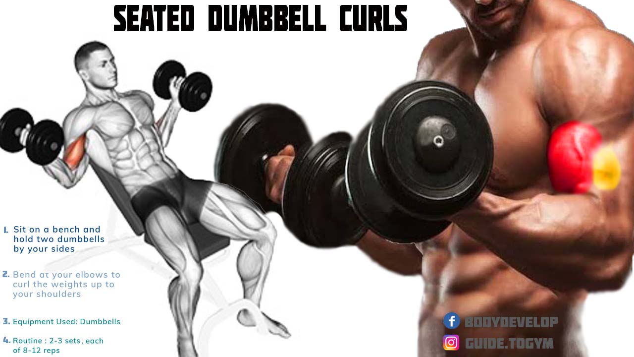 How to Do Seated Dumbbell Biceps Curls.jpg