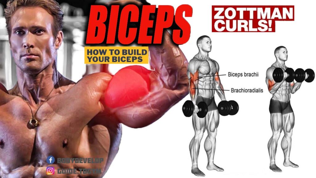 How to Do Dumbbell Zottman Lifts
