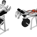 Reverse Hyperextension