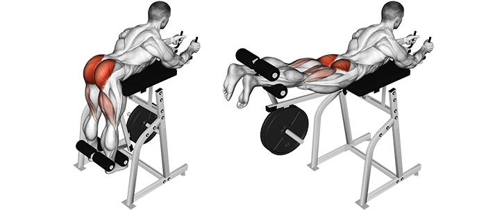 The Reverse Hyperextension with a dumbbell