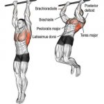 Partial Pull-ups