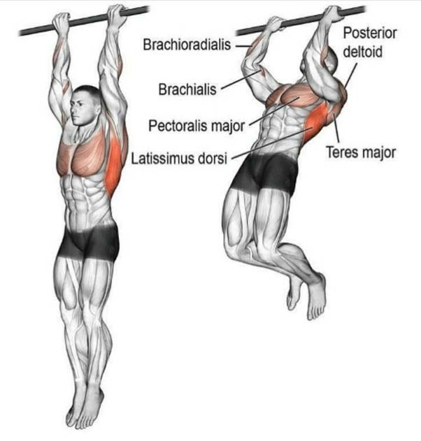 How to Do Partial Pull-ups