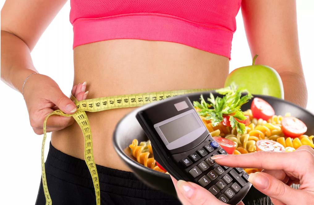 energy calculator for weight loss