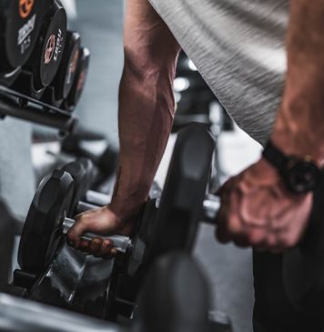 Teff: The Ancient Grain That Quadrupled My Muscle Gains (No Protein Shakes Needed)